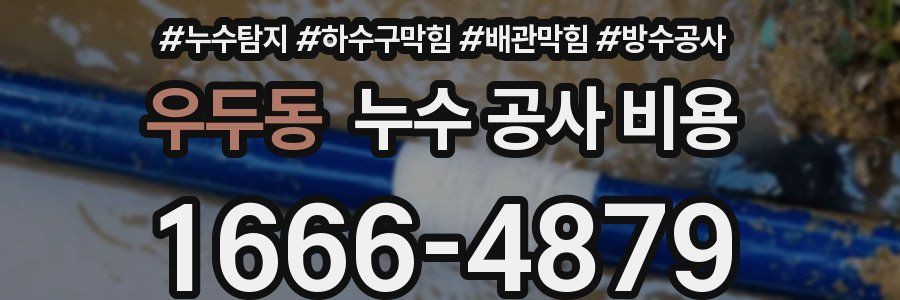 우두동 누수 공사 비용