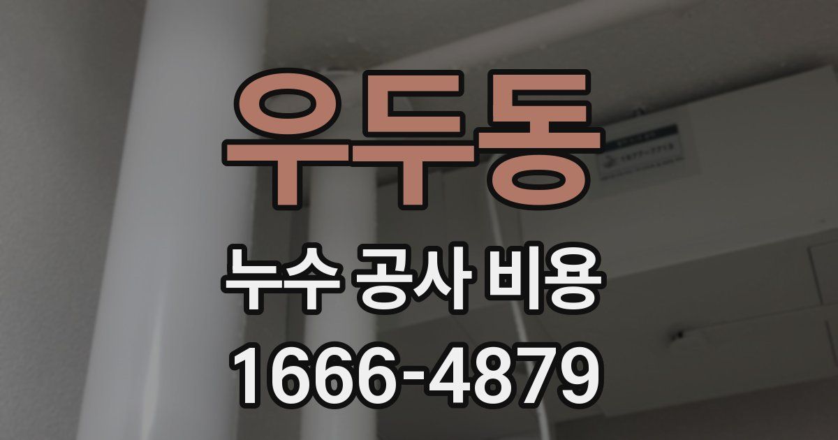 우두동 누수 공사 비용