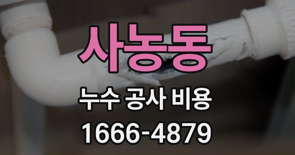 사농동 누수 공사 비용