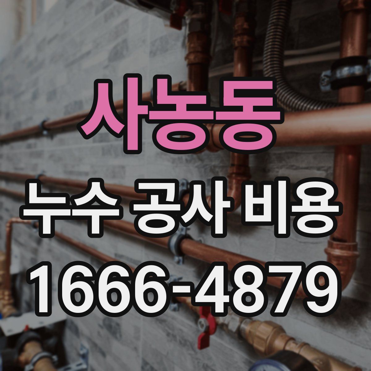 사농동 누수 공사 비용