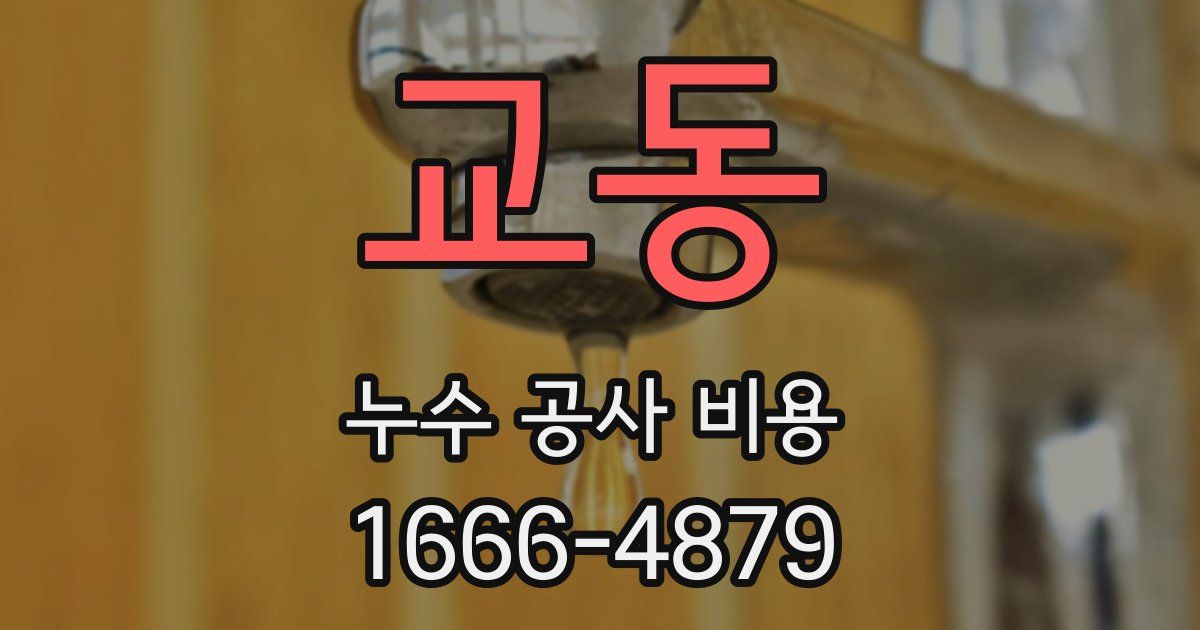 교동 누수 공사 비용