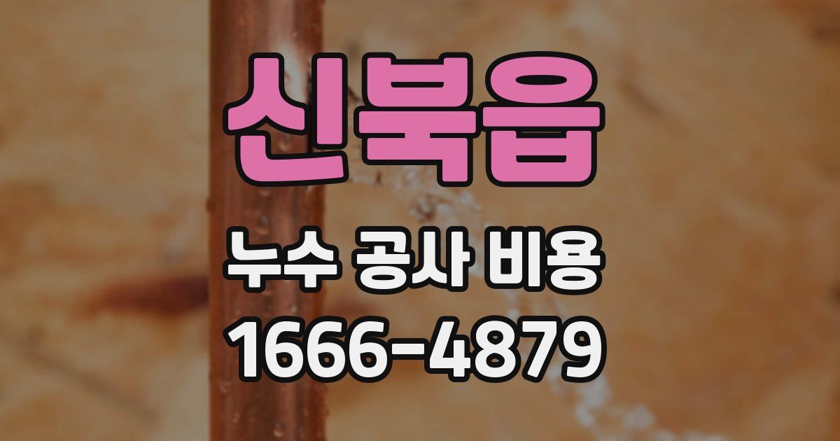 신북읍 누수 공사 비용