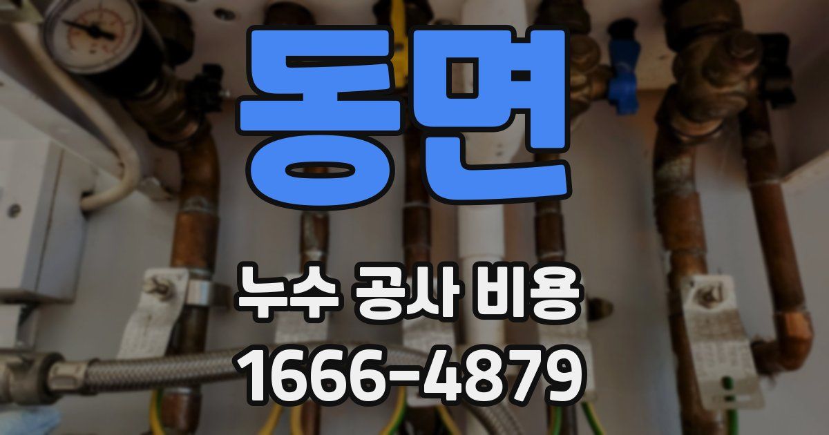 동면 누수 공사 비용