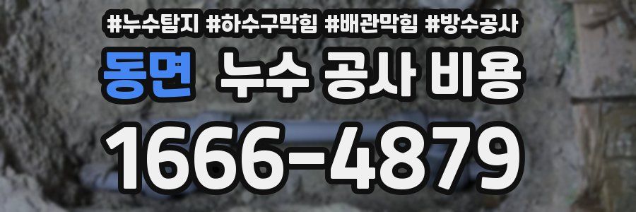 동면 누수 공사 비용