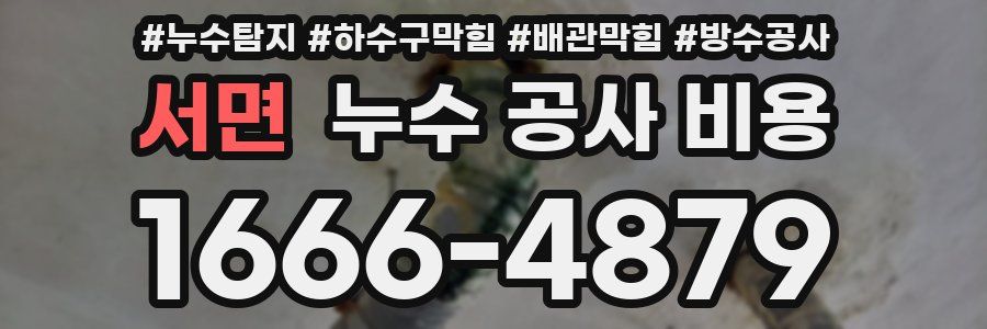 서면 누수 공사 비용