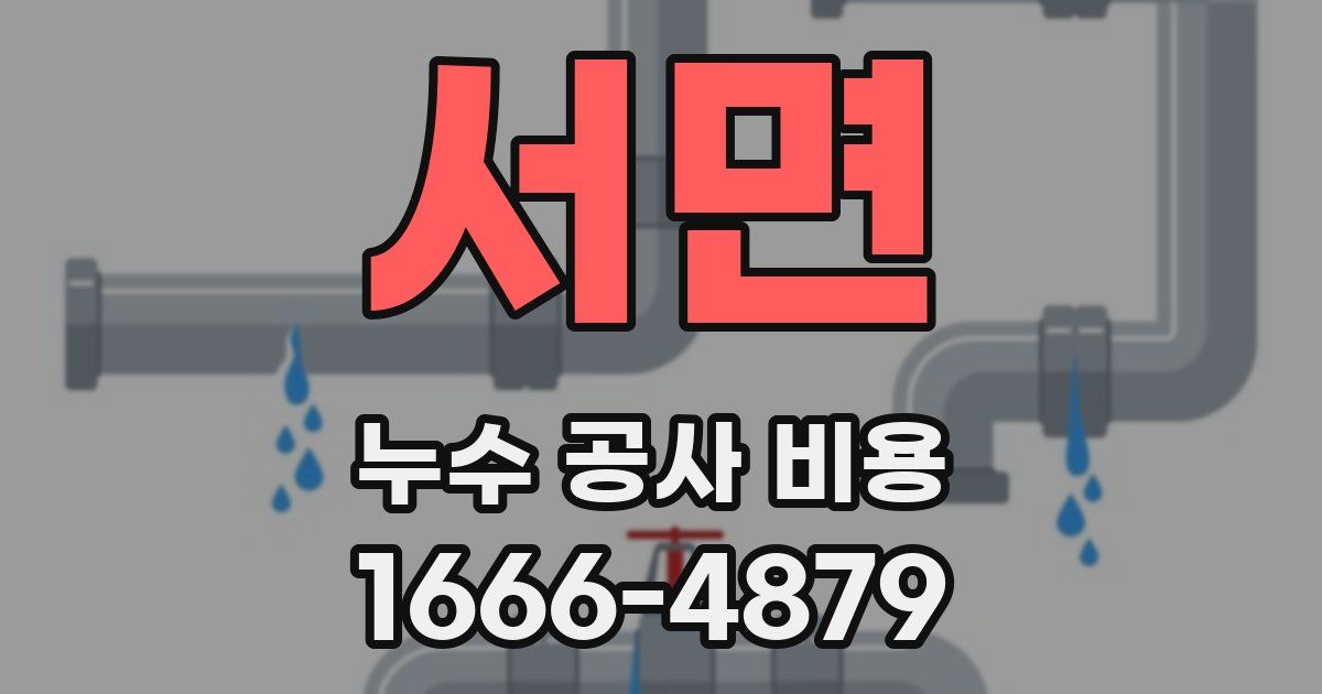 서면 누수 공사 비용