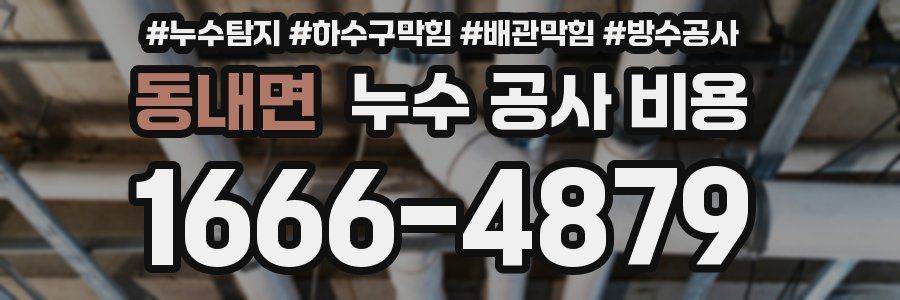 동내면 누수 공사 비용