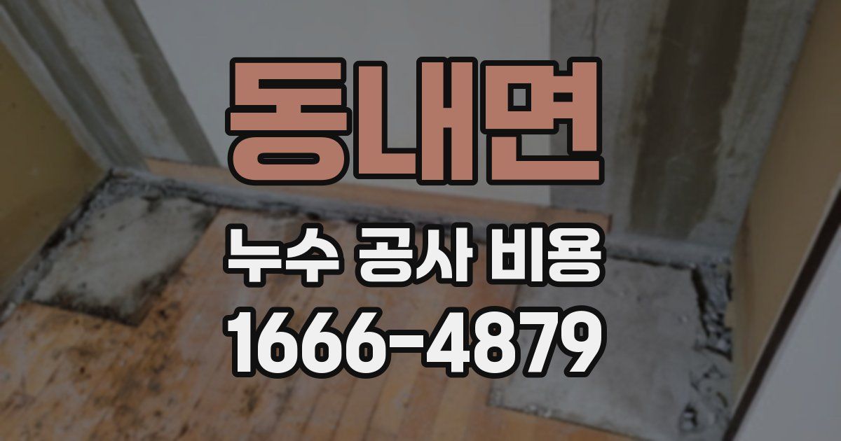 동내면 누수 공사 비용