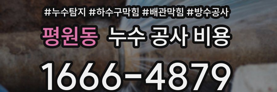평원동 누수 공사 비용
