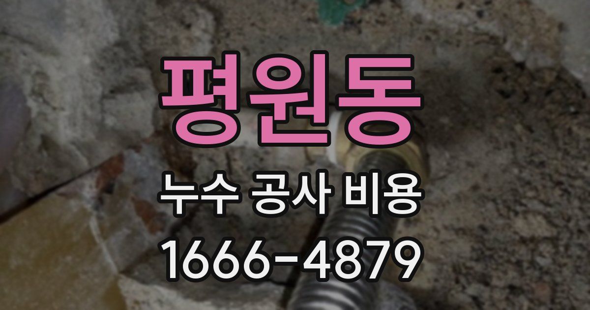 평원동 누수 공사 비용