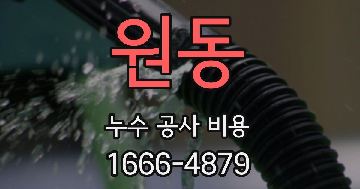 원동 누수 공사 비용