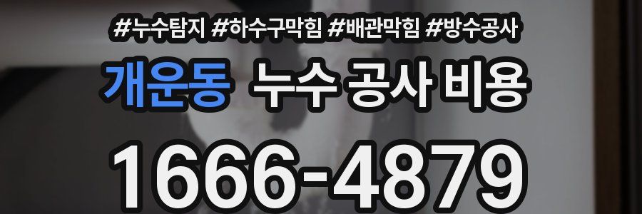개운동 누수 공사 비용