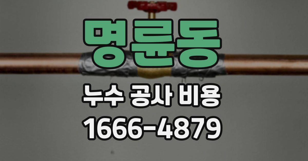 명륜동 누수 공사 비용