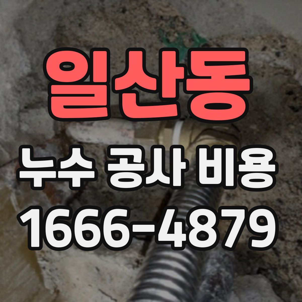 일산동 누수 공사 비용