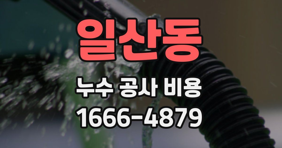 일산동 누수 공사 비용