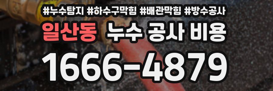 일산동 누수 공사 비용