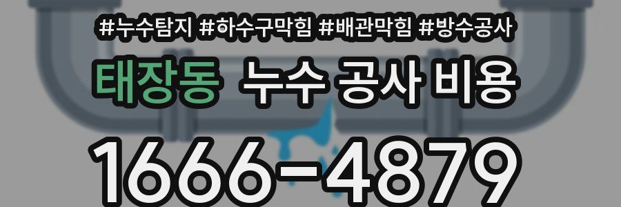 태장동 누수 공사 비용