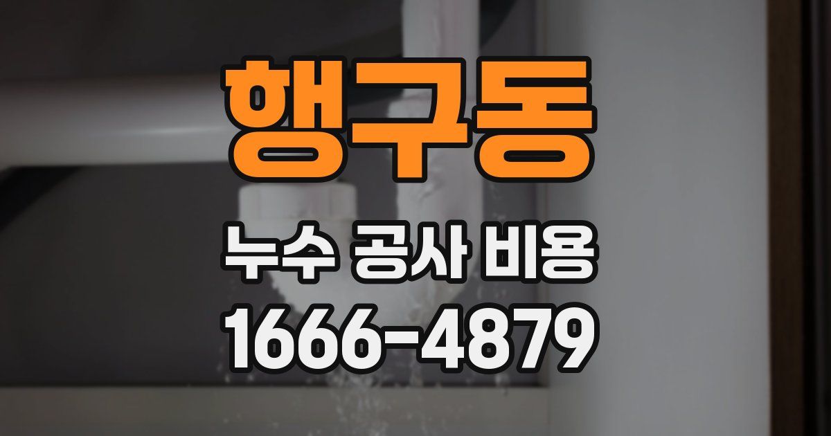 행구동 누수 공사 비용