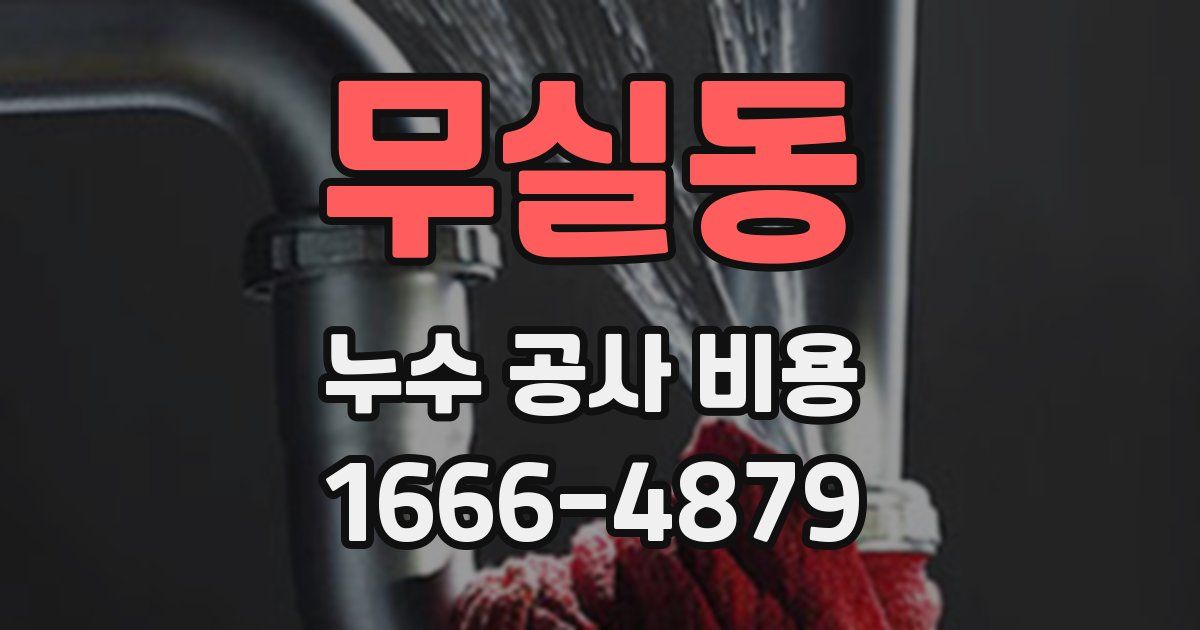 무실동 누수 공사 비용
