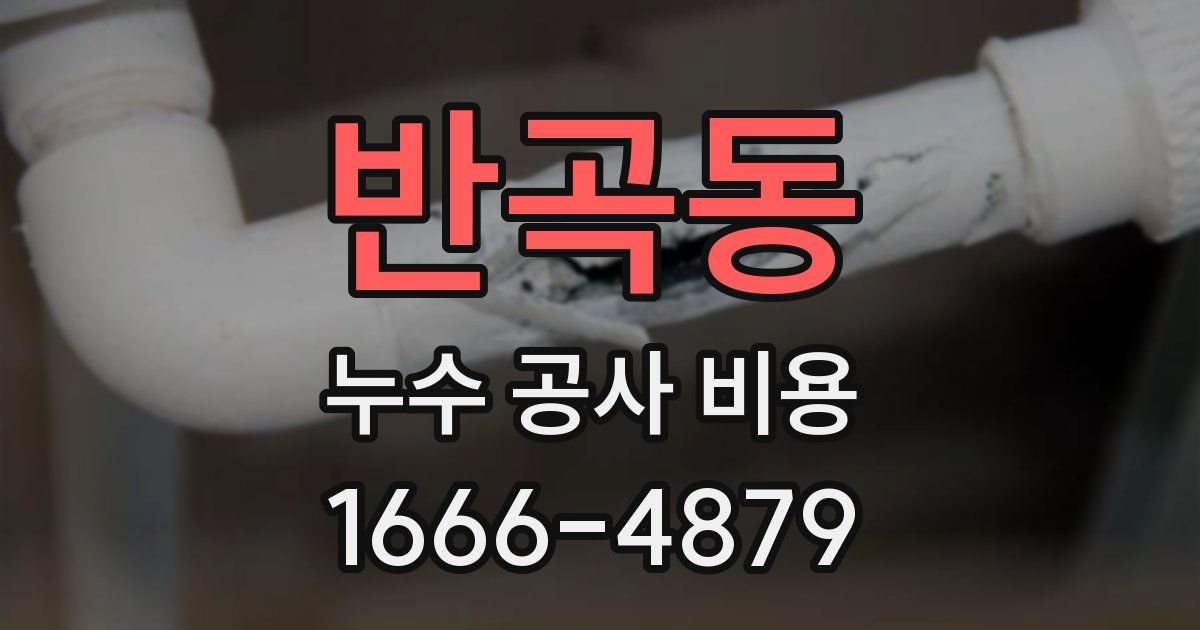 반곡동 누수 공사 비용