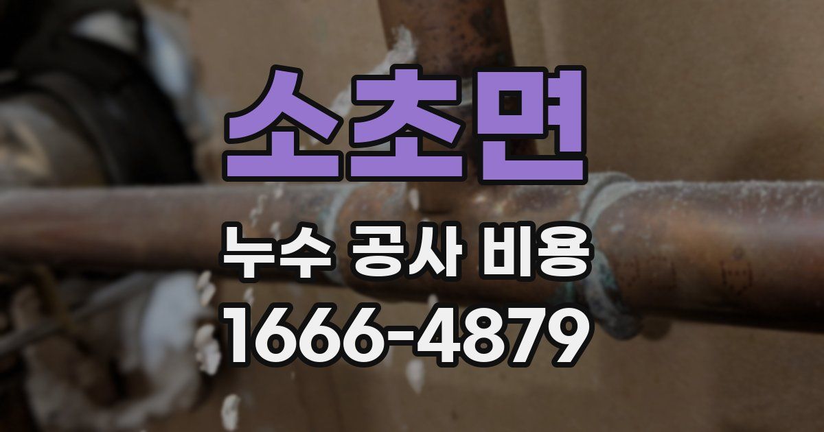 소초면 누수 공사 비용