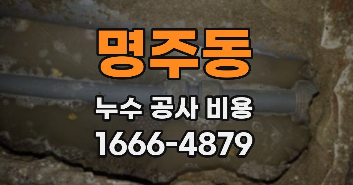 명주동 누수 공사 비용