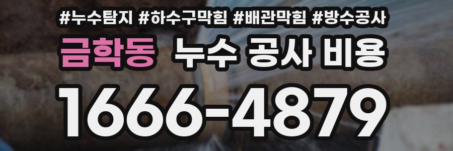 금학동 누수 공사 비용