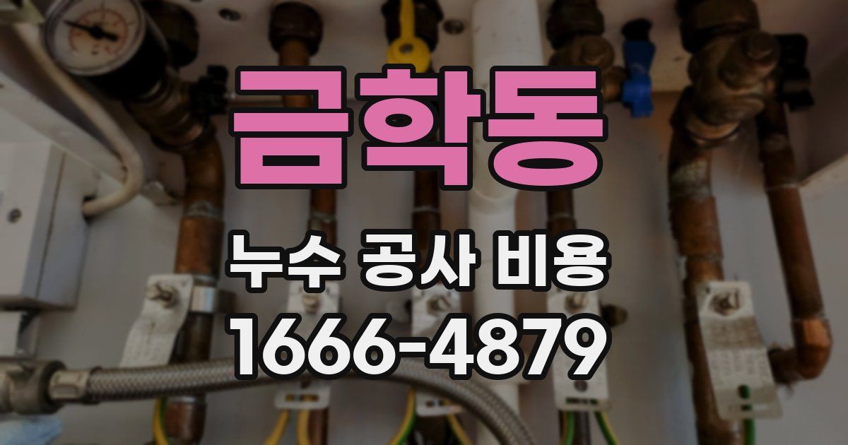 금학동 누수 공사 비용