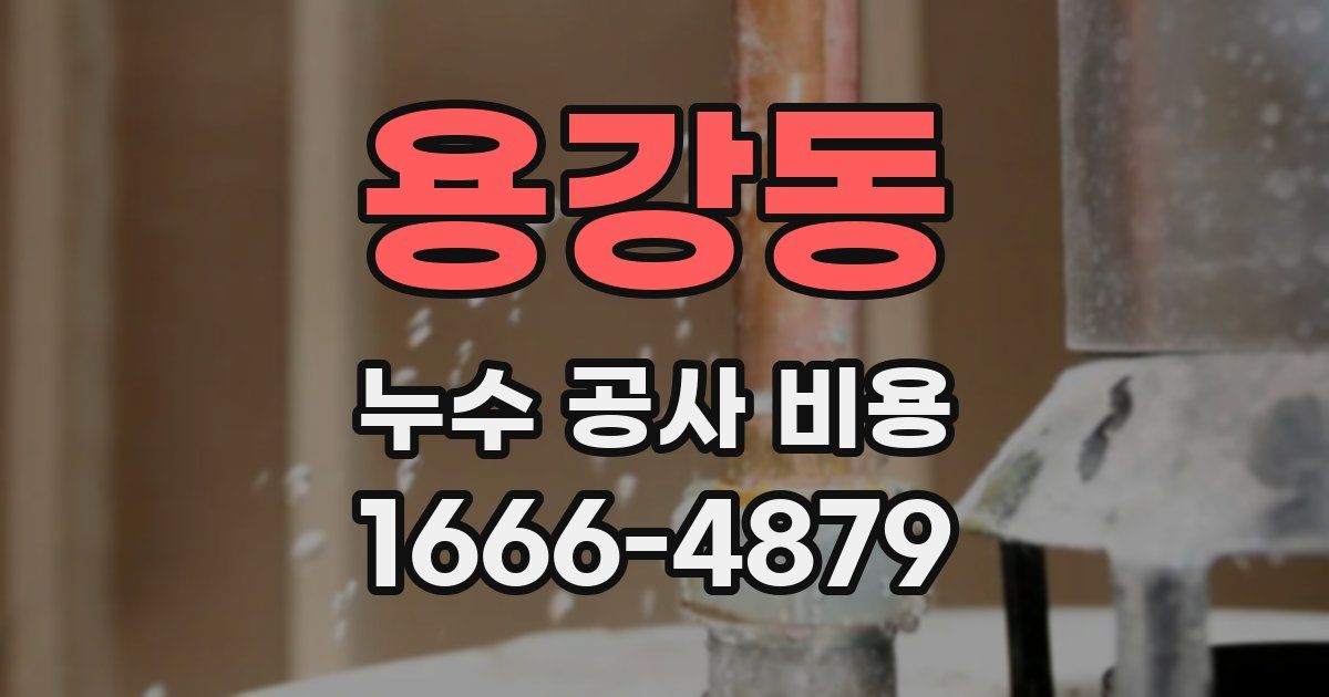 용강동 누수 공사 비용