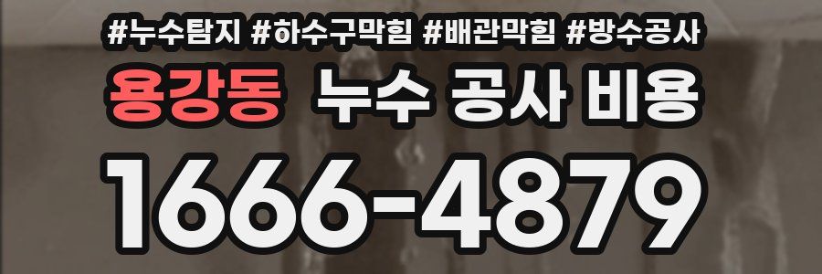 용강동 누수 공사 비용