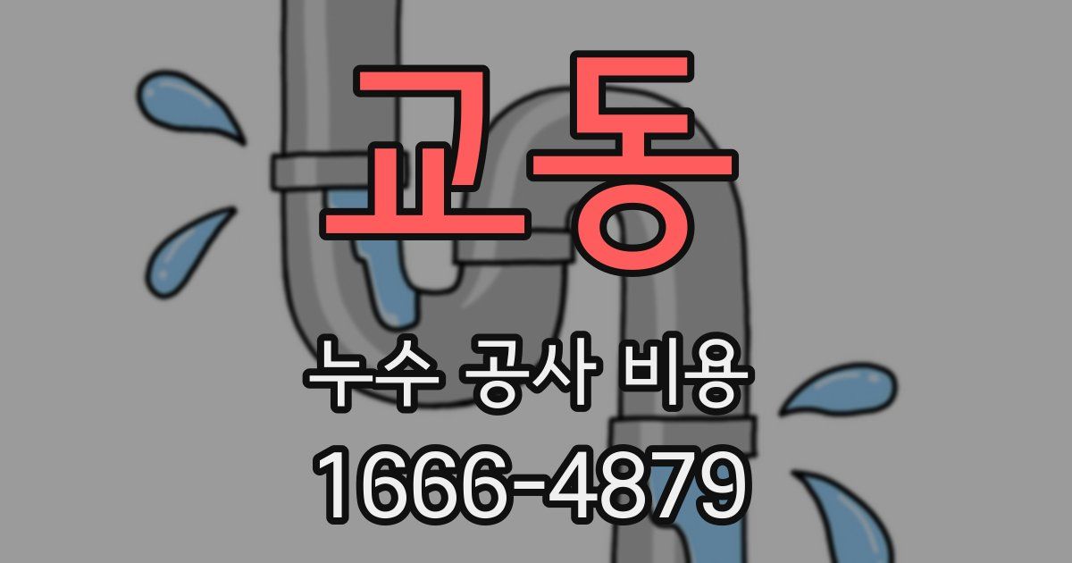 교동 누수 공사 비용