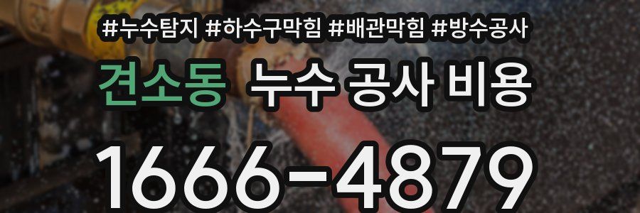 견소동 누수 공사 비용