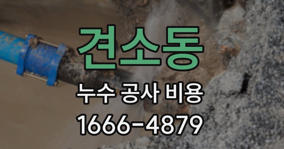 견소동 누수 공사 비용