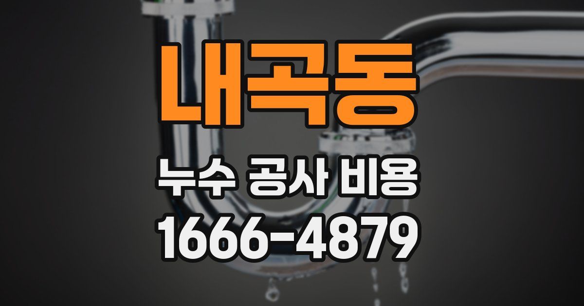 내곡동 누수 공사 비용