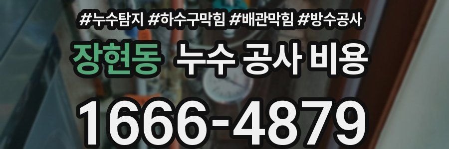 장현동 누수 공사 비용