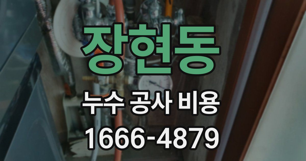 장현동 누수 공사 비용