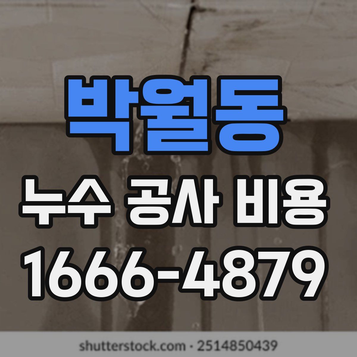 박월동 누수 공사 비용