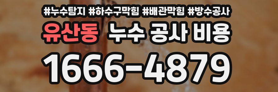 유산동 누수 공사 비용