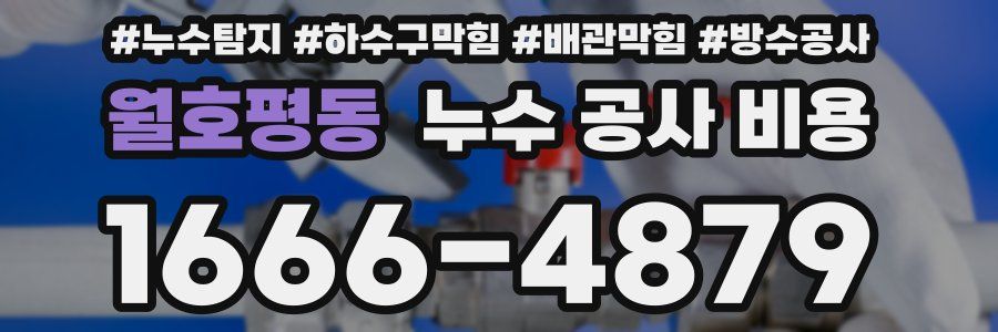 월호평동 누수 공사 비용