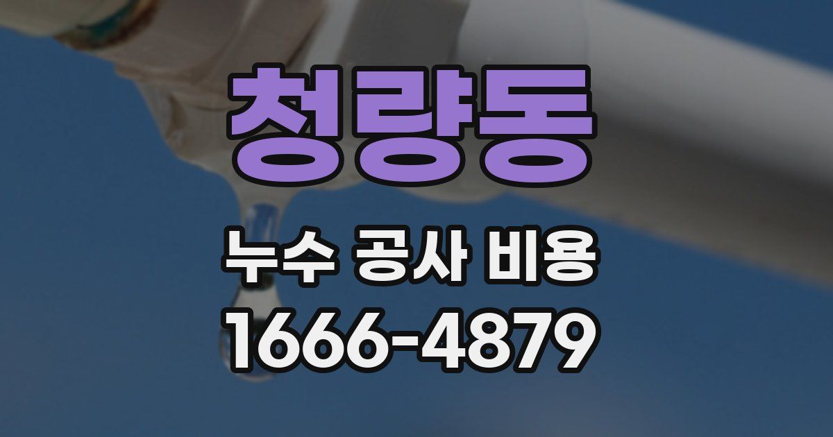청량동 누수 공사 비용
