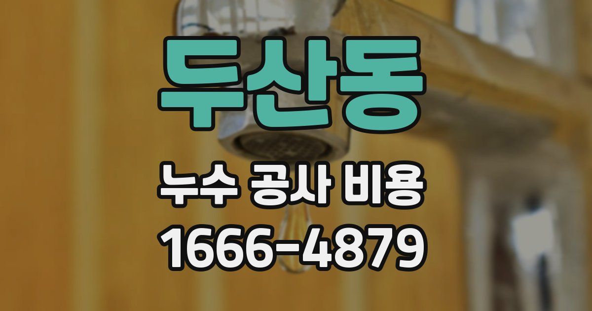 두산동 누수 공사 비용