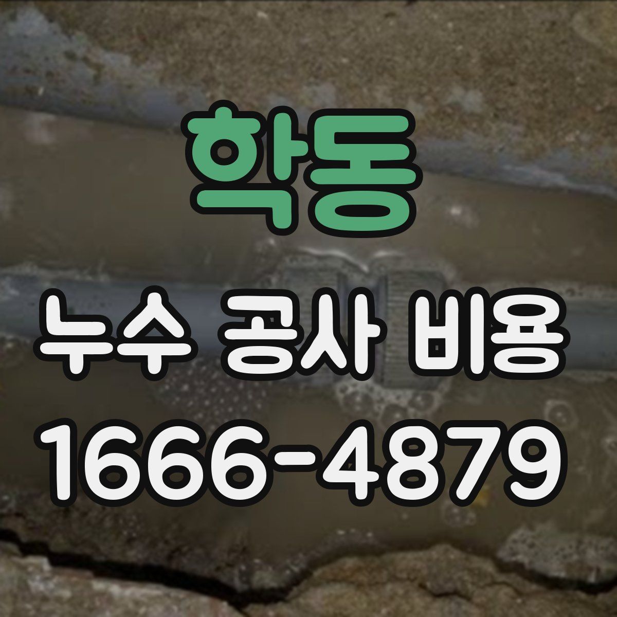 학동 누수 공사 비용