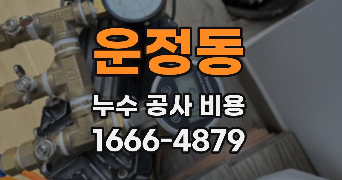 운정동 누수 공사 비용
