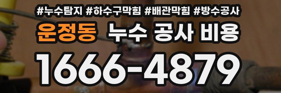 운정동 누수 공사 비용