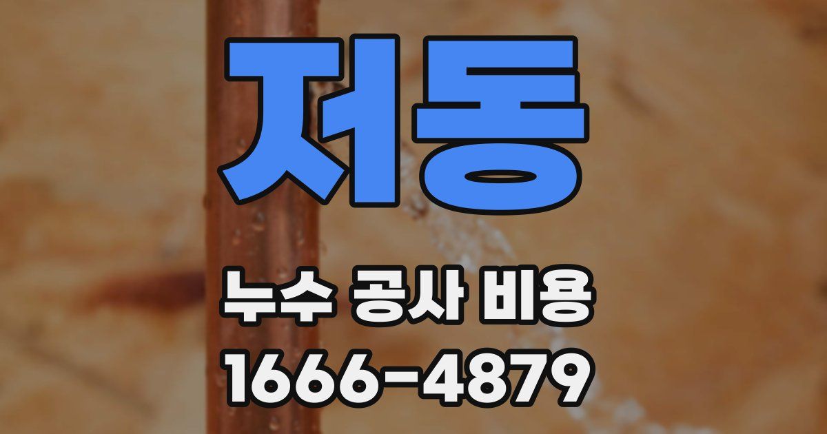 저동 누수 공사 비용