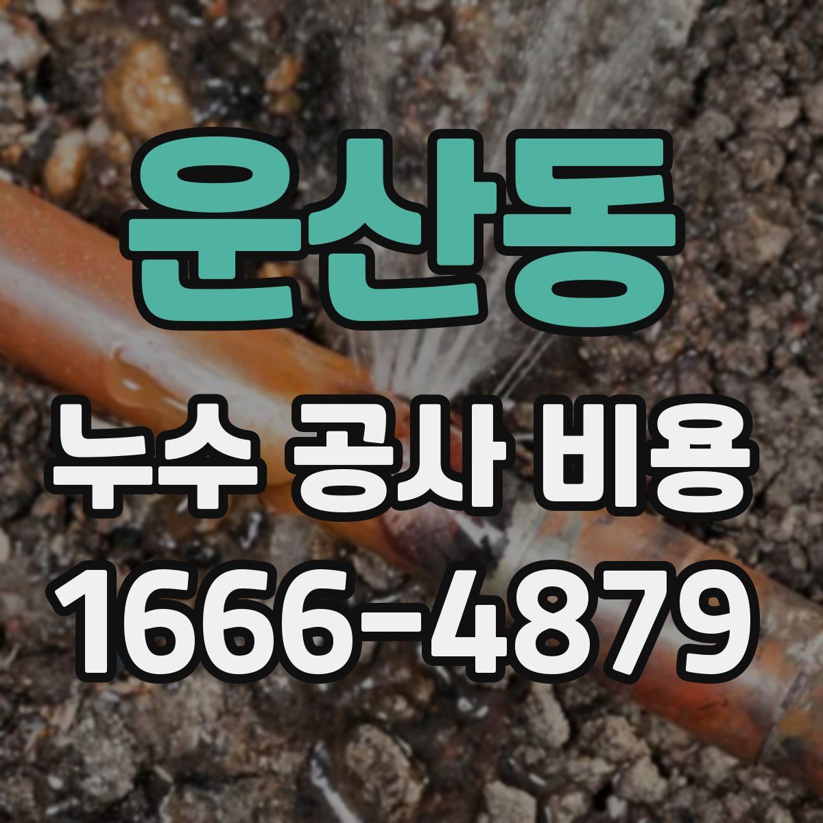 운산동 누수 공사 비용