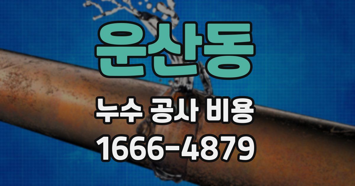 운산동 누수 공사 비용