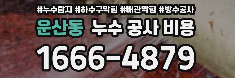 운산동 누수 공사 비용