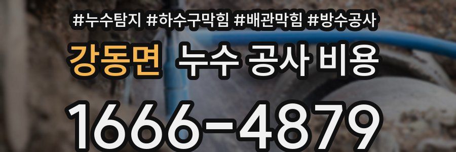 강동면 누수 공사 비용