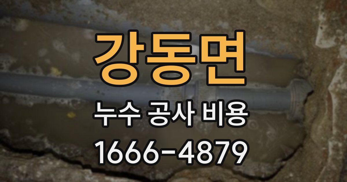 강동면 누수 공사 비용